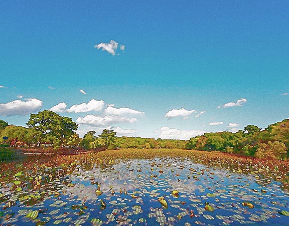 芦屋プラン株式会社七夕（たなばた1 Copilot